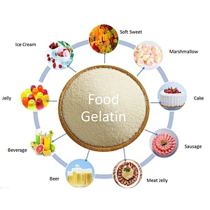 Halal Edible Beef Gelatin Kosher Powder or granular hahal gelatin